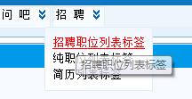 招聘职位列表标签 第 1 张