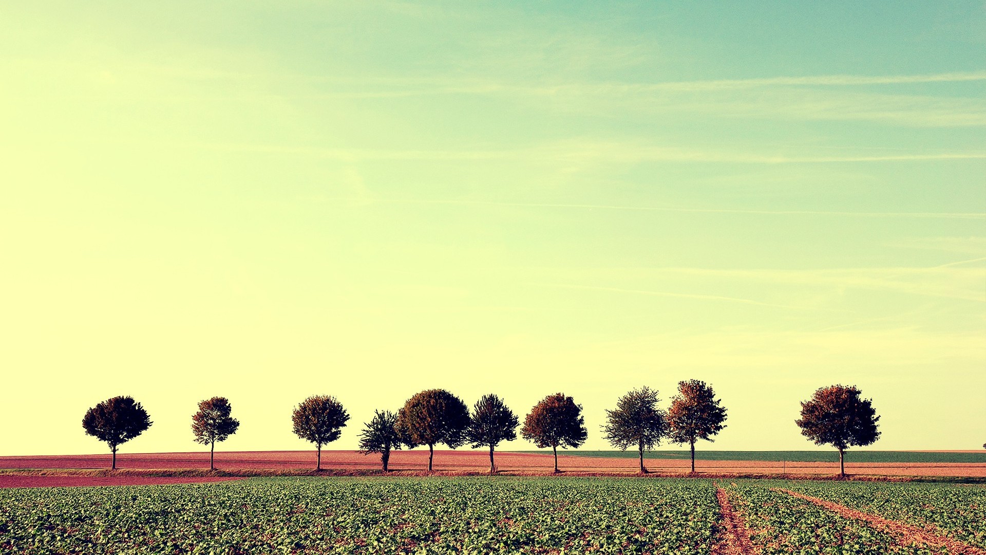 （网校修复）手机端微信绑定蜕化 第 3 张